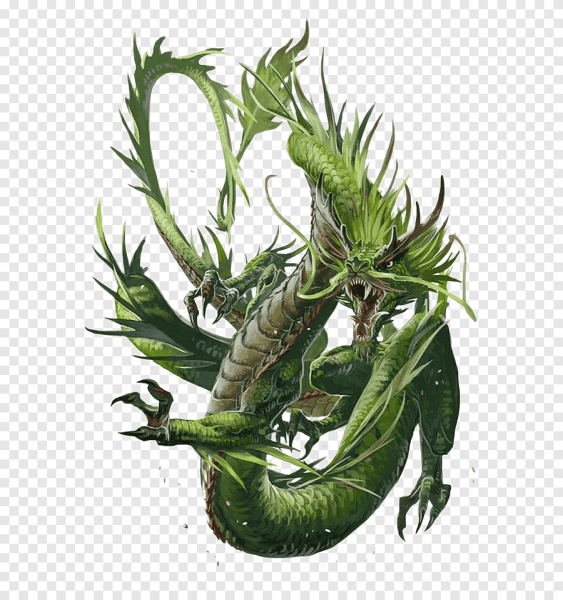 Лесной дракон ДНД