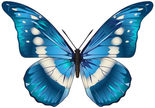 Бабочки синие