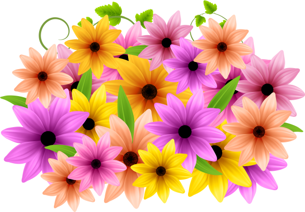 Цветы без фона