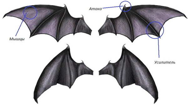 Крылья летучей мыши
