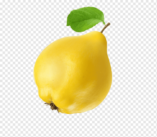 Плод у груши айвы