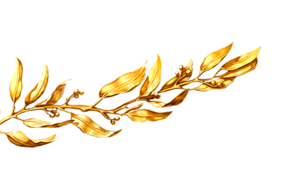 Лавровая ветвь на прозрачном фоне