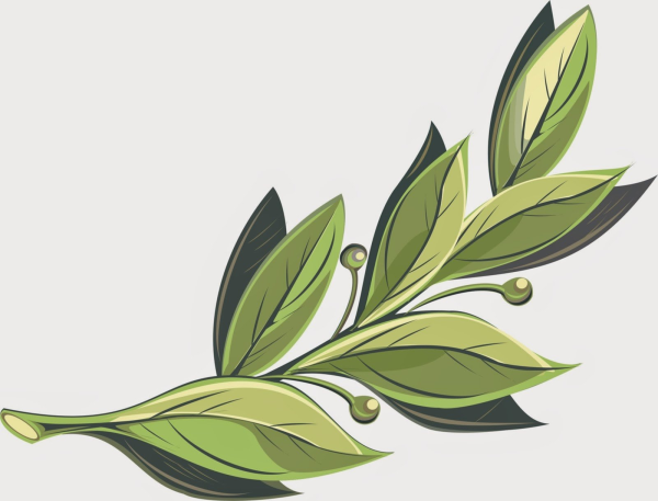 Ветка Лавра Treez