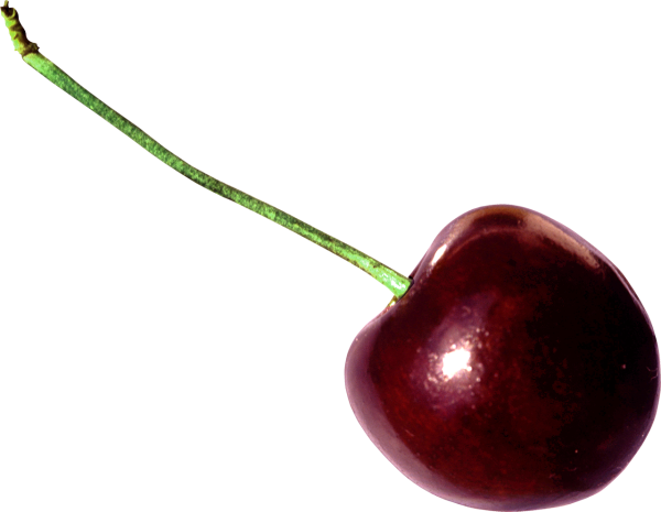 Вишня на белом фоне