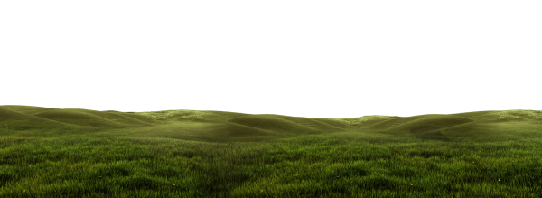 Холм без травы