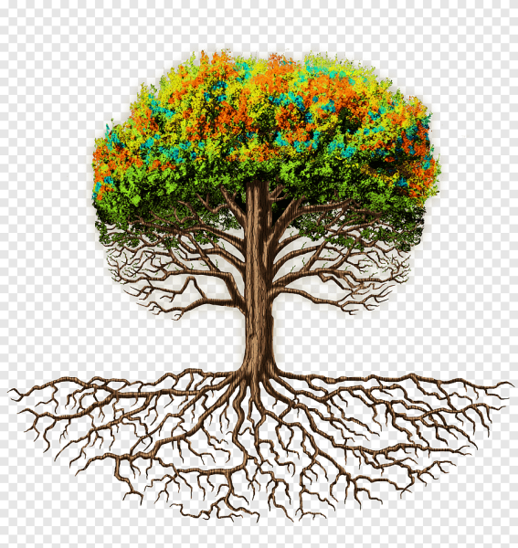 Дерево с корнями