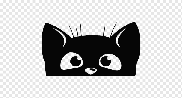 Морда кота выглядывает