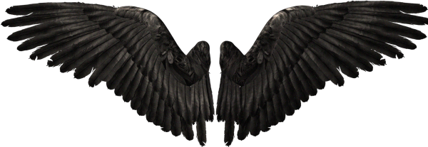 Крылья черные