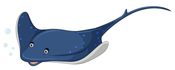 Скат на белом фоне