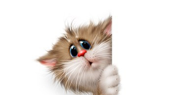 Котенок выглядывает на прозрачном фоне