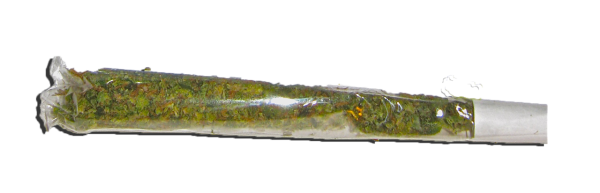 Косяк травы без фона