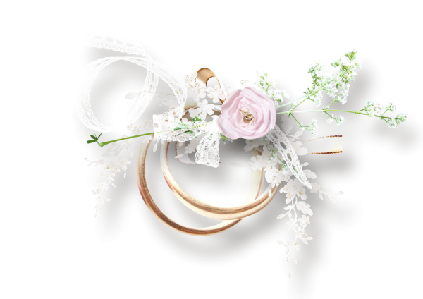 Свадебные клипарты на прозрачном фоне