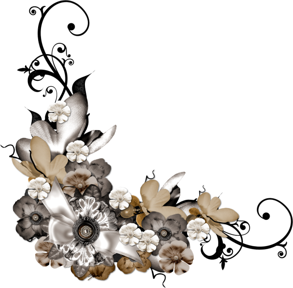 Коричневые цветы на прозрачном фоне