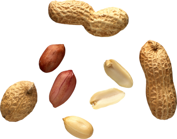 Орехи арахис