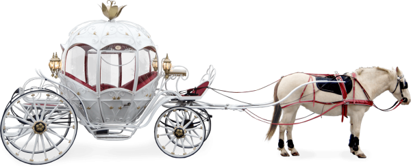 Карета с лошадьми для детей