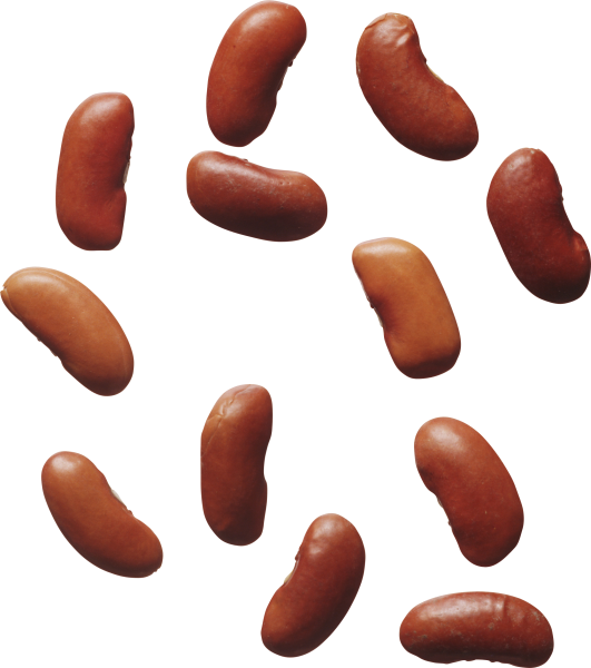 Фасоль для детей на прозрачном фоне