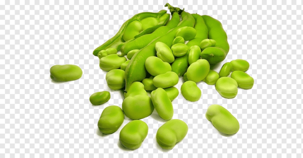 Бобовые на белом фоне