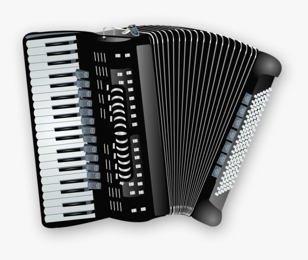 Баян аккордеон гармонь черный