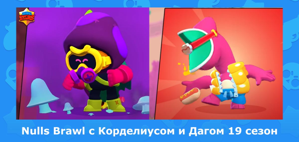 Браво старс новый боец