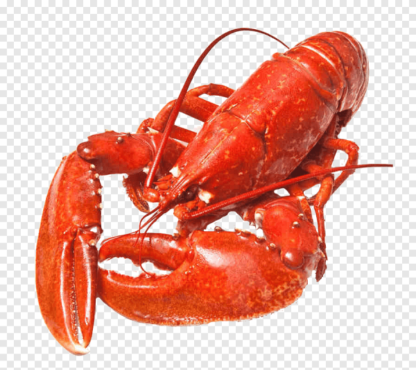 Омар краб лангуст