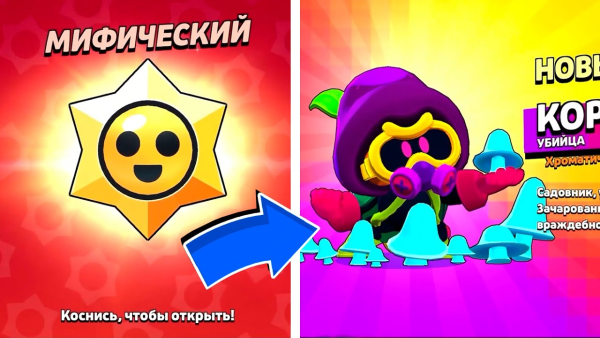 Корделиус брас влстра