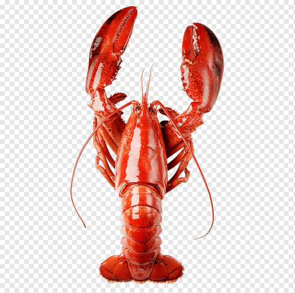 Лобстер без фона