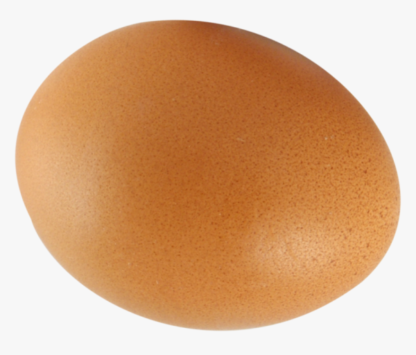 Egg