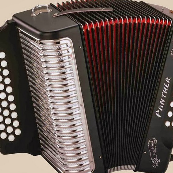 Баян аккордеон гармонь черный