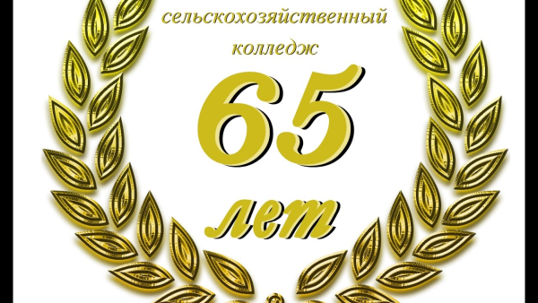 65 лет