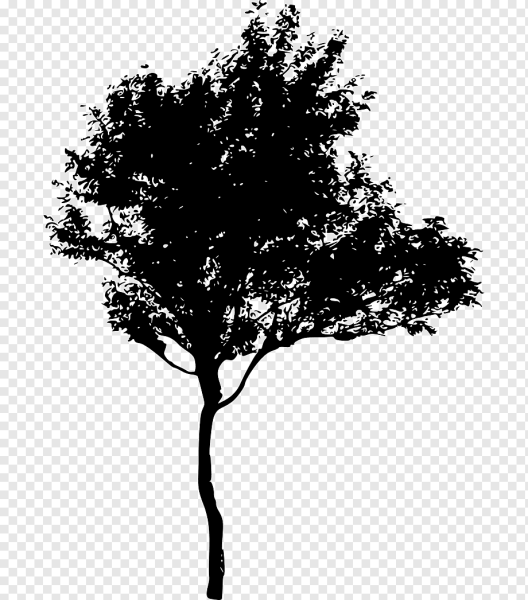 Силуэт дерево