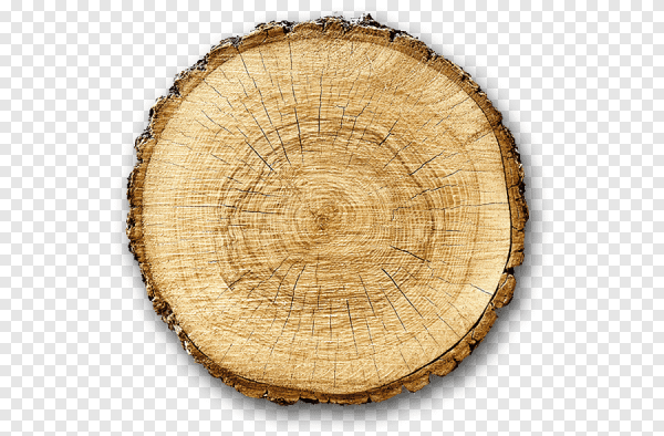 Красивый срез дерева