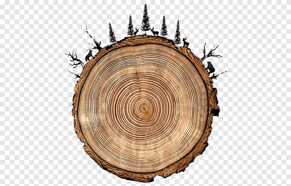 Красивый срез дерева