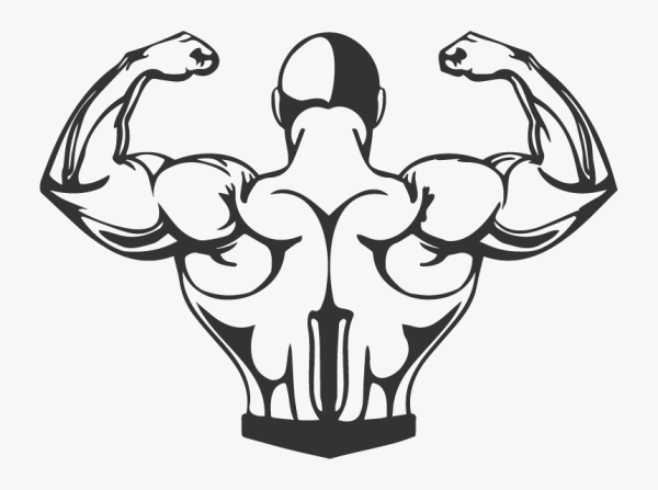 Качок рисунок