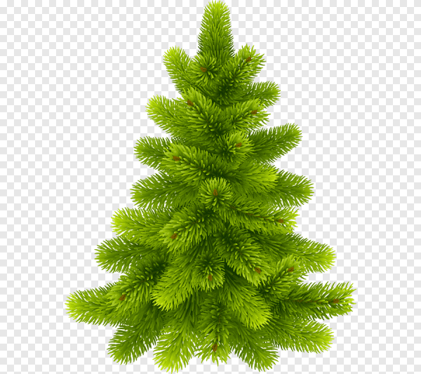 Новогодняя елка на белом фоне