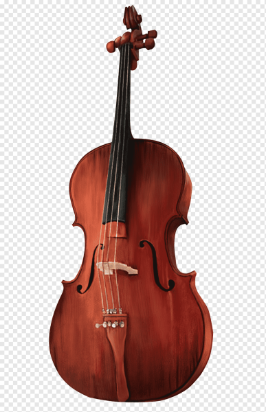 Violin Viola Cello Double Bass