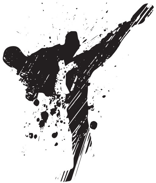 Единоборства силуэт