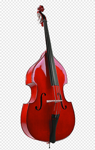 Violin Viola Cello Double Bass