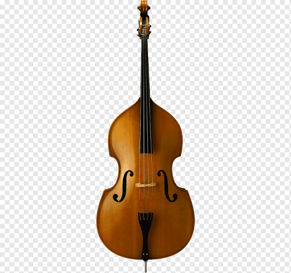 Контрабас музыкальный инструмент без фона