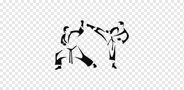 Тхэквондо ИТФ вектор