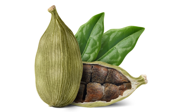 Кардамон на белом фоне