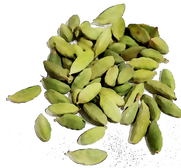 Green Cardamom