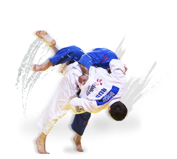 Дзюдо фон