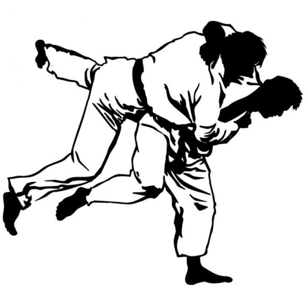 Дзюдоисты бросок вектор