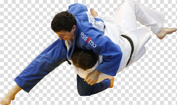 Бразильское джиу-джитсу