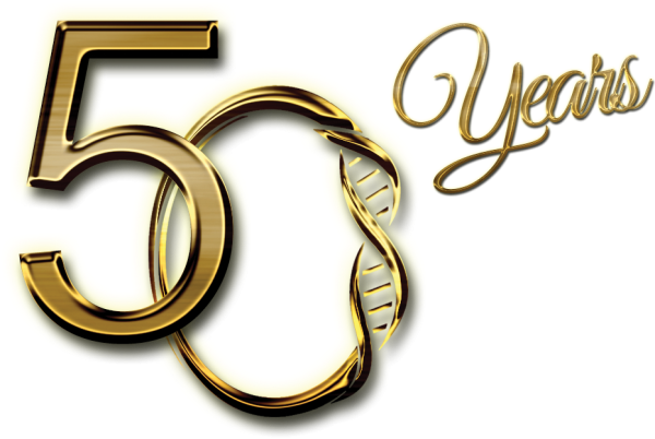 Красивая цифра 50 Золотая