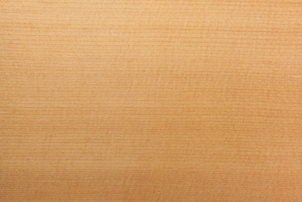 Обои Jannelli Volpi j jv6129