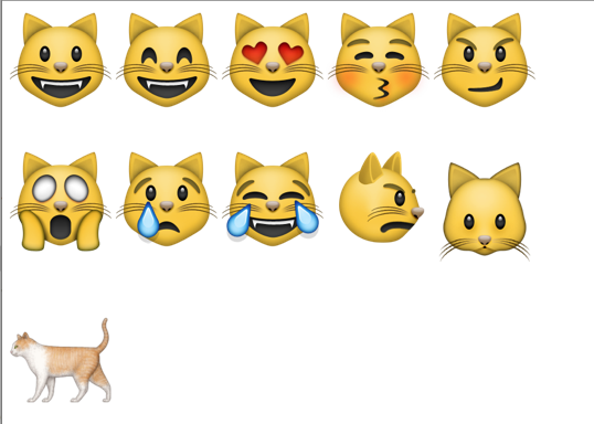 Эмодзи котик