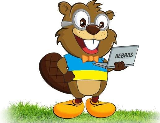 Bebras 2020 олимпиада