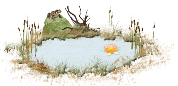 Болото на прозрачном фоне