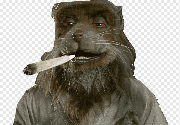Сплинтер нигер